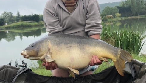 A 46 lb 8 oz carp from Deux Iles, Jun 2019