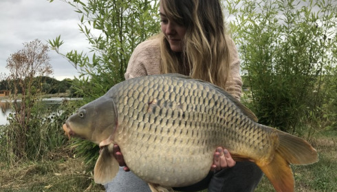 A carp from Deux Iles, Rebecca Long, Jul 2017