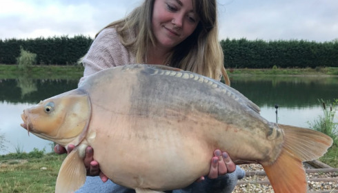 A carp from Deux Iles, Rebecca Long, Jul 2017