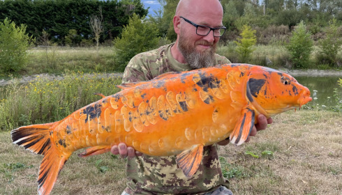 A fish from Deux Iles, Aug 2022