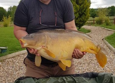 A carp from Deux Iles, philip manning, May 2018