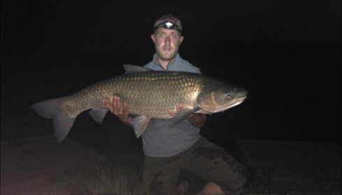 A grass carp from Deux Iles, Liam Harper, Aug 2018