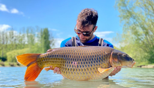 A 28 lb 5 oz carp from Deux Iles, Julien, Jun 2021