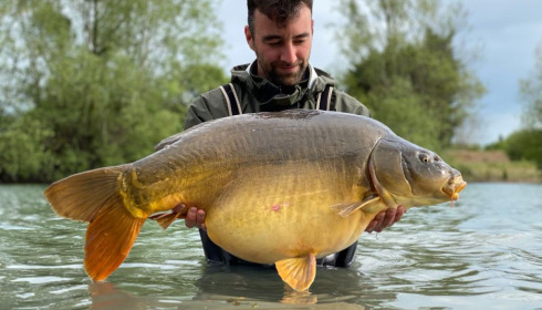 A 40 lb carp from Deux Iles, Julien, May 2021