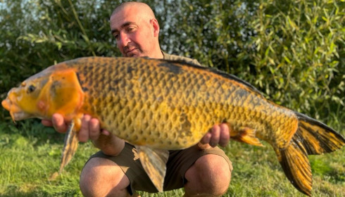 A fish from Deux Iles, Koi 16lb, Jun 2017