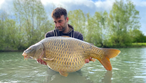 A 35 lb carp from Deux Iles, Julien, May 2021