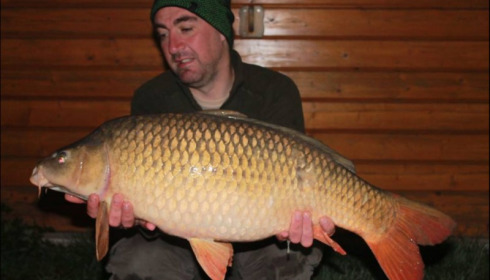 A carp from Deux Iles, Oct 2018