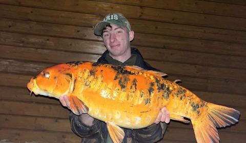 A carp from Deux Iles, Ben Pearman, Mar 2023
