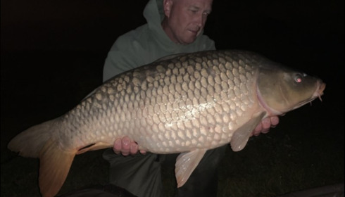 A carp from Deux Iles, Sep 2019