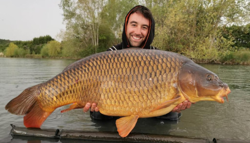 A 48 lb carp from Deux Iles, Julien, May 2021
