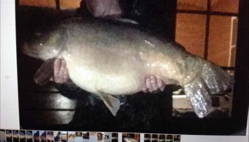 A 39 lb 9 oz carp from Deux Iles, Michael Forde, Mar 2019