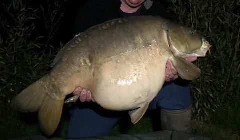 A 41 lb 5 oz carp from Deux Iles, Tyrone Coombes, May 2018