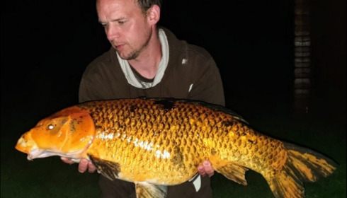A 20 lb carp from Deux Iles, Matthew Pickford, May 2019