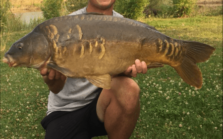 A 29 lb carp from Deux Iles, Richard Biggs, Jul 2018