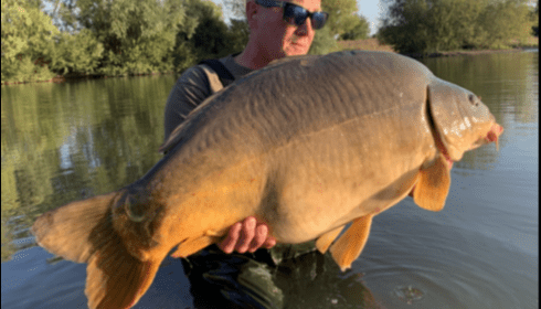 A carp from Deux Iles, Sep 2019