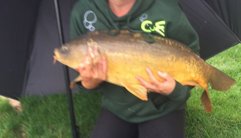 A carp from Deux Iles, Michael OHara, Aug 2017