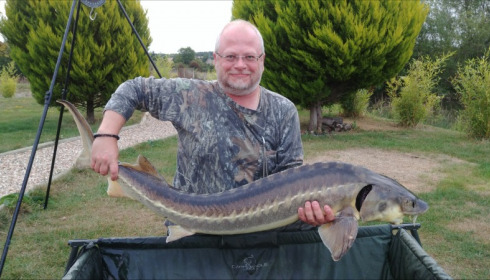 A carp from Deux Iles, Ian Cumber, Aug 2018