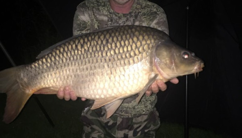 A carp from Deux Iles, Michael OHara, Aug 2017