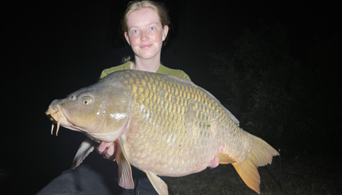 A fish from Deux Iles, Aug 2022