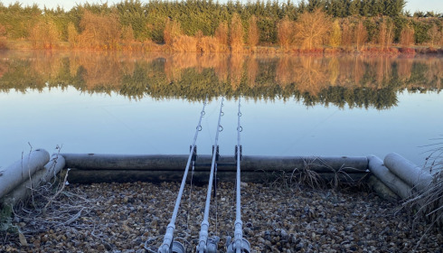A fish from Deux Iles, Nov 2021