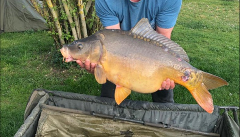 A carp from Deux Iles, Hicks Party, Apr 2019