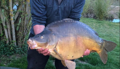 A carp from Deux Iles, Hicks Party, Apr 2019
