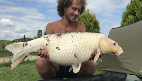 A carp from Deux Iles, George Vawser, Jun 2018