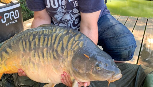 A 33 lb fish from Eau De Vie North, Mirror, Jul 2022