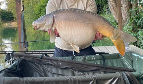 A fish from Eau De Vie North, Jun 2022