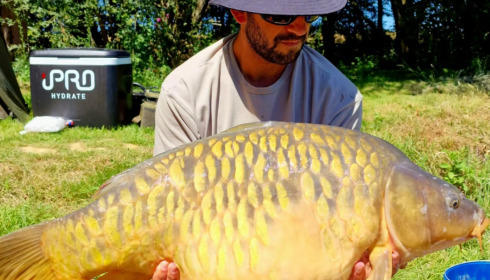 A fish from Eau De Vie North, Jun 2022