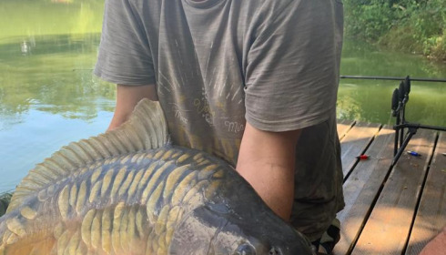 A 29 lb fish from Eau De Vie North, Mirror, Jul 2022