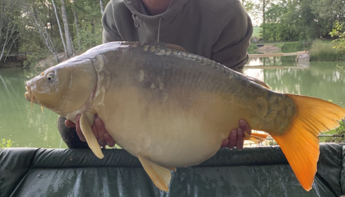 A 36 lb fish from Eau De Vie North, Apr 2022