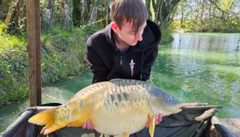 A 31 lb fish from Eau De Vie North, Mirror Carp, Apr 2023