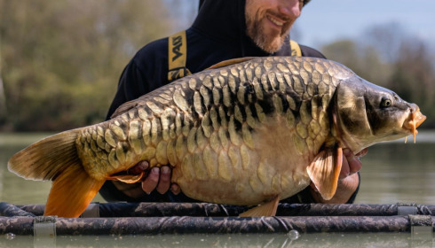A carp from Eau De Vie North, Apr 2022