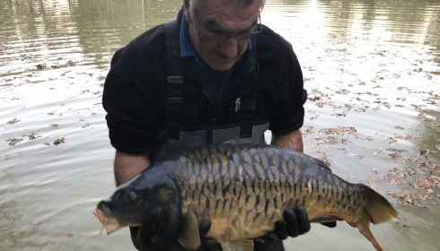 A carp from Eau De Vie North, Stocking, Nov 2020