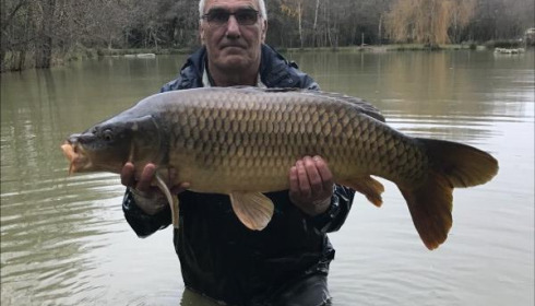 A carp from Eau De Vie South, 2019 stocking , Dec 2019