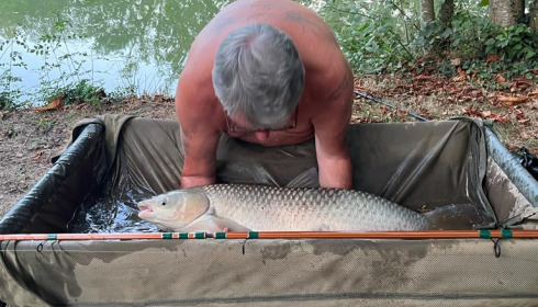 A 25 lb grass carp from Eau De Vie South, Vince, Sep 2022