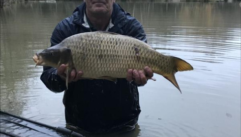 A carp from Eau De Vie South, 2019 stocking , Dec 2019