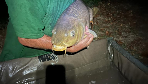 A 27 lb 12 oz carp from Eau De Vie South, Vince, Sep 2022