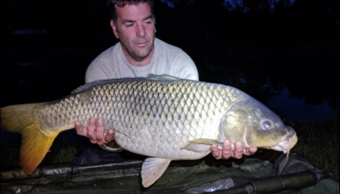 A carp from Eau De Vie South, Jun 2019