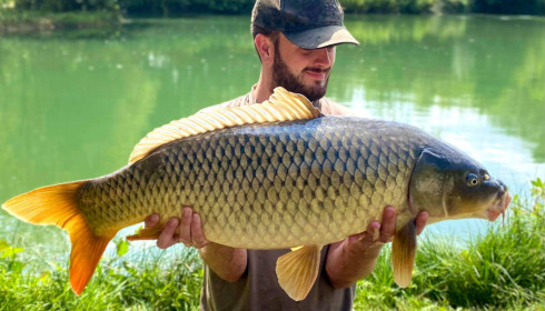 A carp from Eau De Vie South, Aug 2021