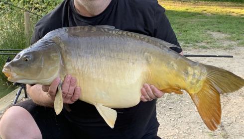 A 36 lb fish from Eau De Vie South, Mirror carp, May 2022