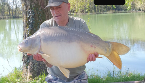 A 34 lb 10 oz carp from Eau De Vie South, Dave Martin, Apr 2023