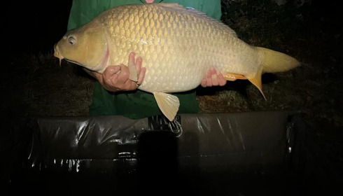 A 27 lb 12 oz carp from Eau De Vie South, Vince, Sep 2022