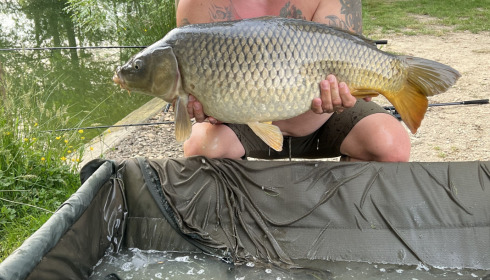 A 37 lb fish from Eau De Vie South, Common carp, May 2022