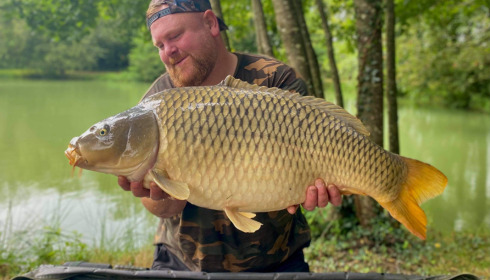 A carp from Eau De Vie South, Aug 2021