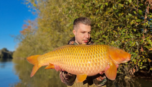 A carp from Emeraude, Feb 2022
