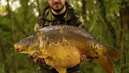 A carp from Emeraude, May 2023