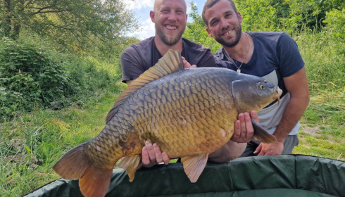 A carp from Emeraude, Jun 2023