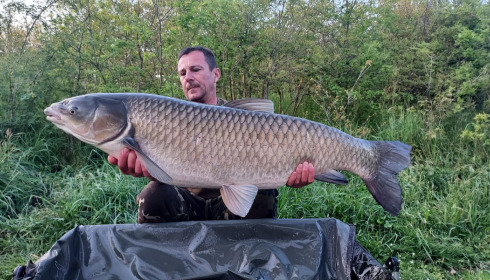 A carp from Emeraude, Oct 2022